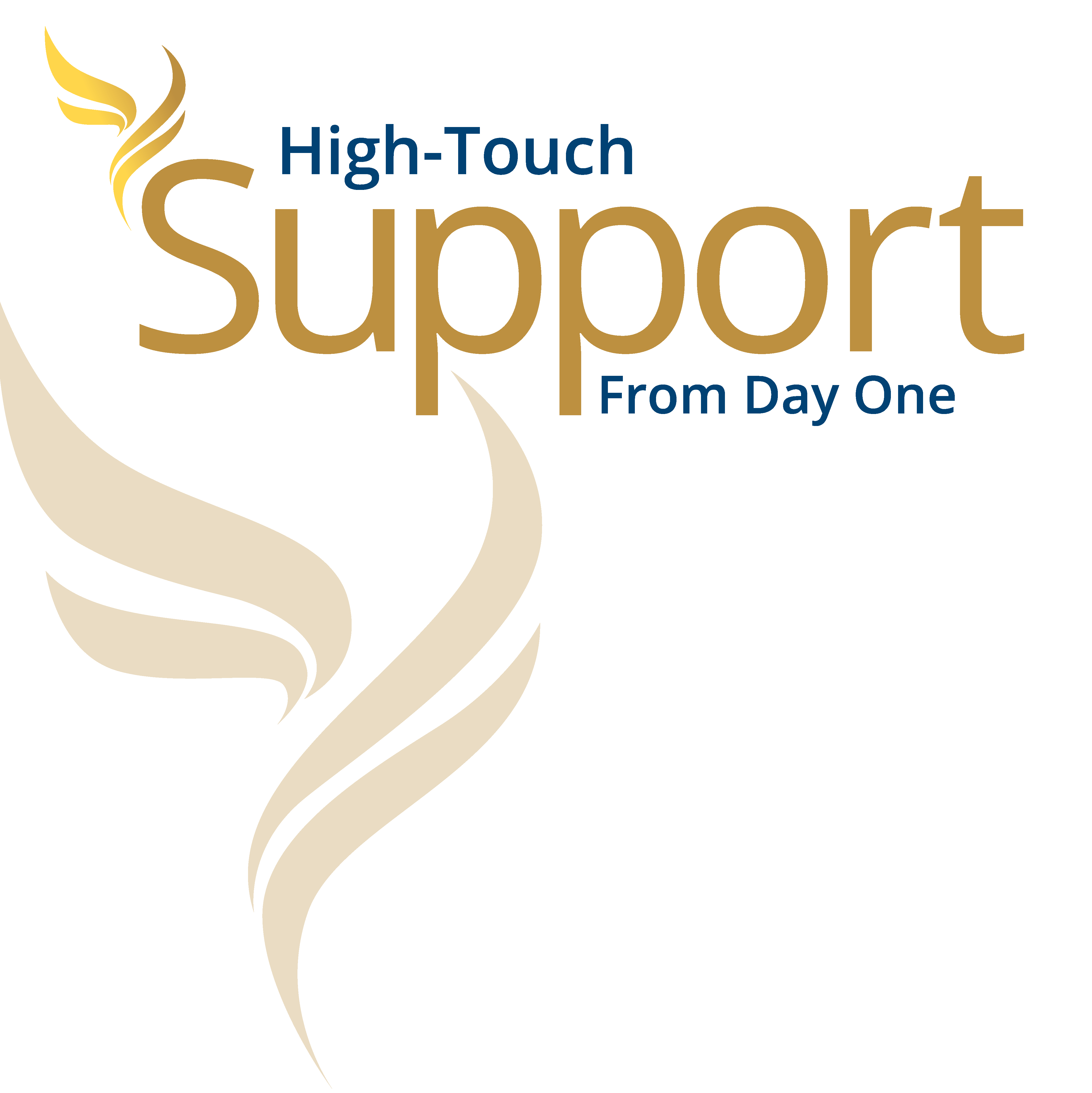 high touch support from day one